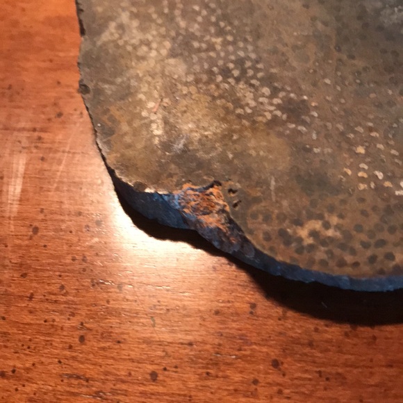 Petrified palm wood - Picture 6 of 9